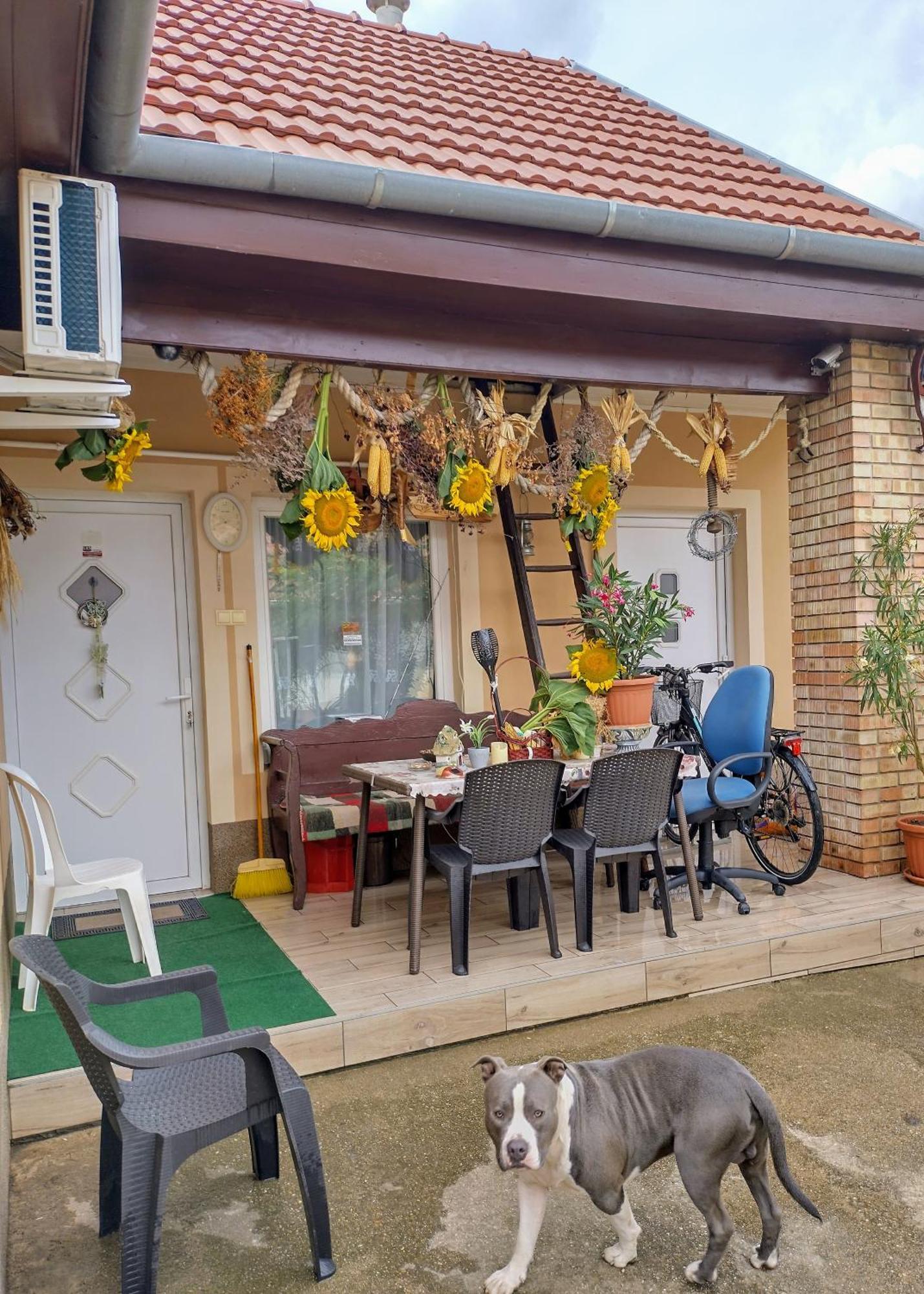 Bundik Vendégház Berettyoujfalu Exterior foto