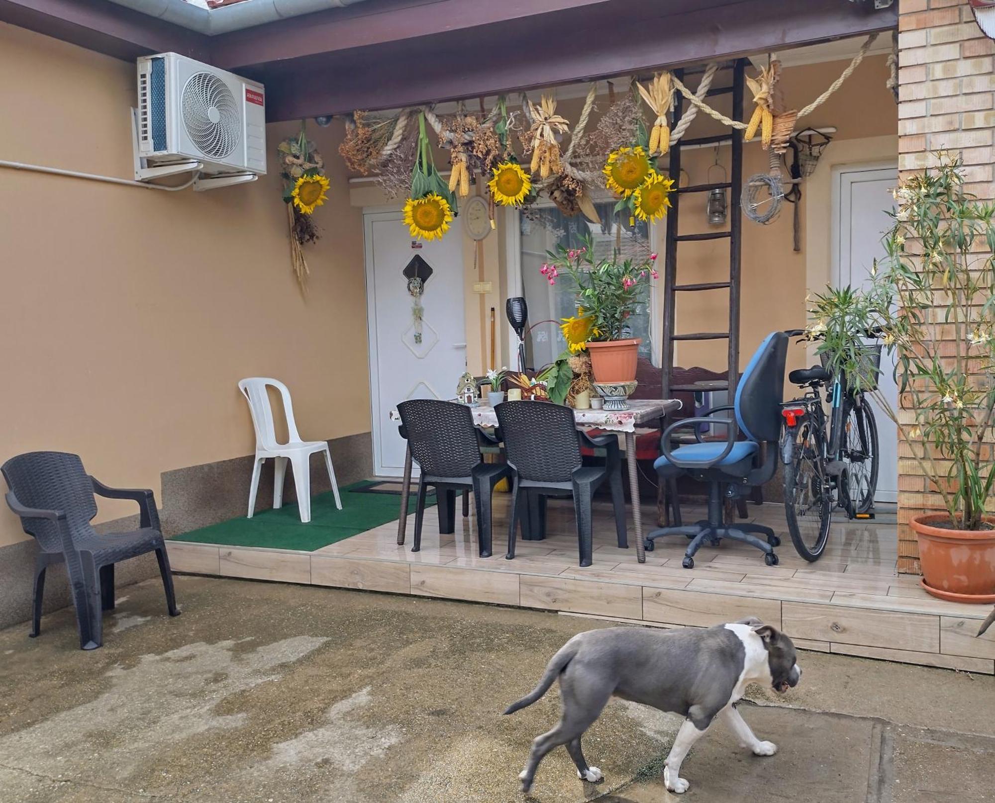 Bundik Vendégház Berettyoujfalu Exterior foto